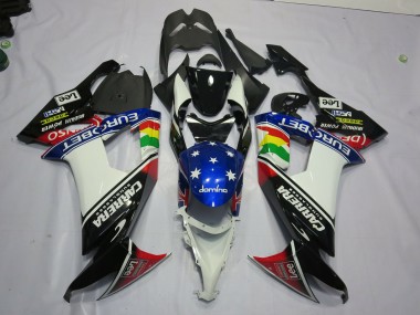 Carrera 2008-2010 Kawasaki ZX10R Motorcycle Fairings